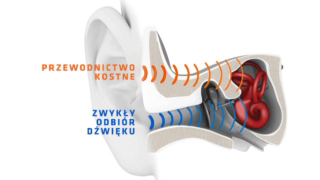Działanie przewodnictwa kostnego